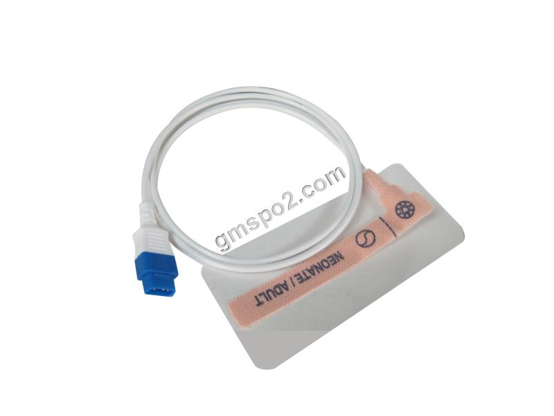 IMG_1296 nyob rau hauv .thpg