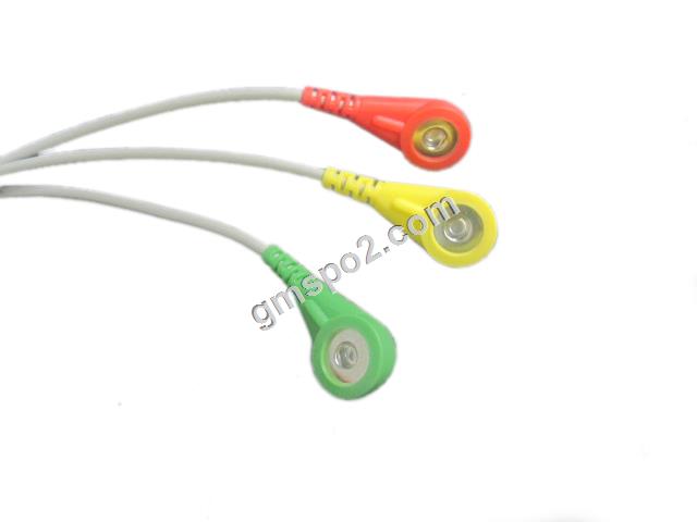 3-txhuas iec snap-.jpg