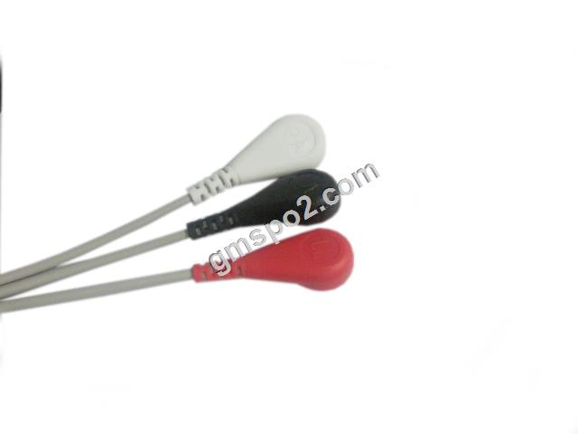 3-LEAD snap yog-.jpg