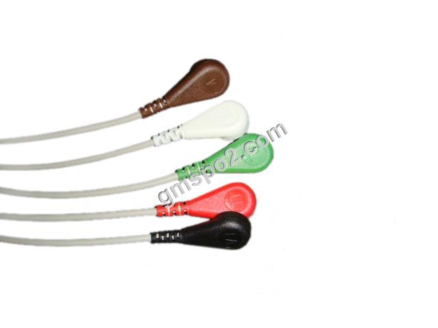 5-coj tsis tus snap-.jpg