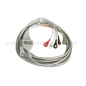 Tshaj Tau Nrog MEK MP1000, MP600, MP500, Ib Daim ECG Neeg Mob Rau Cable Nrog 5-Lead Leadwires Snap Rau Tus Neeg Mob Saib Xyuas.